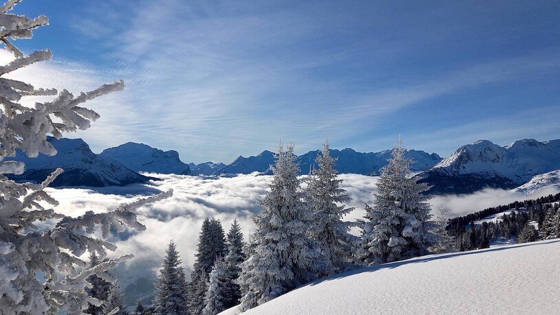 Winterwunderland am Schamserberg.