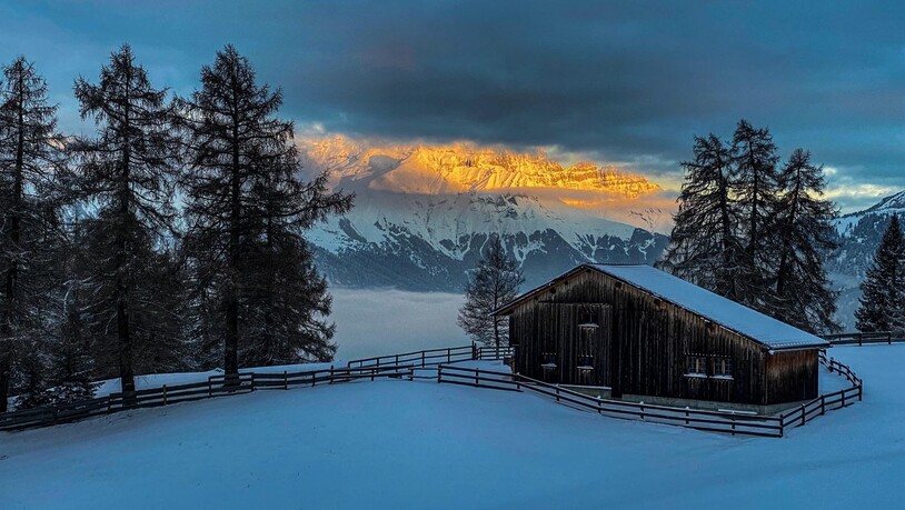 Herrliche Morgenstimmung oberhalb von Feldis.