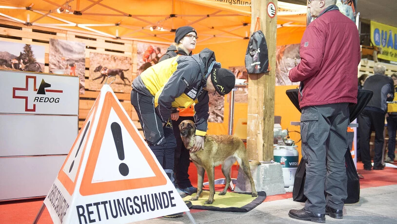 Frühlingsmesse Higa Sonderschau Hund Hunde 