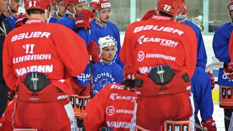 Die SCRJ Lakers haben temporär NHL-Star Nino Niederreiter in ihrer Mitte.