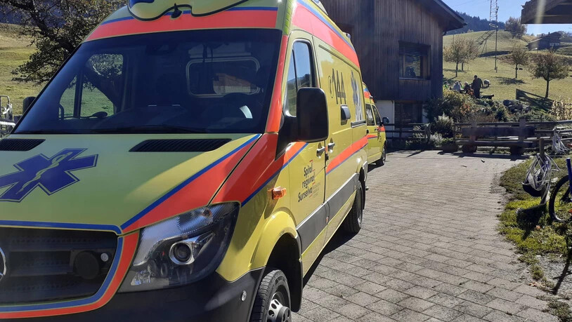 Helfer in jeder Situation: Der Rettungsdienst Surselva half unerwartet bei der Geburt eines Kalbes