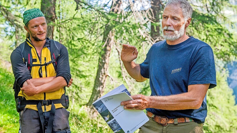Anschauliche Erläuterung: Martin Kreiliger, Geschäftsführer des Bergwaldprojekts, erklärt im Cröter Arvenwald, was die Freiwilligen geleistet haben, während Landwirt Martin Patzen zuhört. Anschauliche Erläuterung: Martin Kreiliger, Geschäftsführer des Bergwaldprojekts, erklärt im Cröter Arvenwald, was die Freiwilligen geleistet haben, während Landwirt Martin Patzen zuhört.