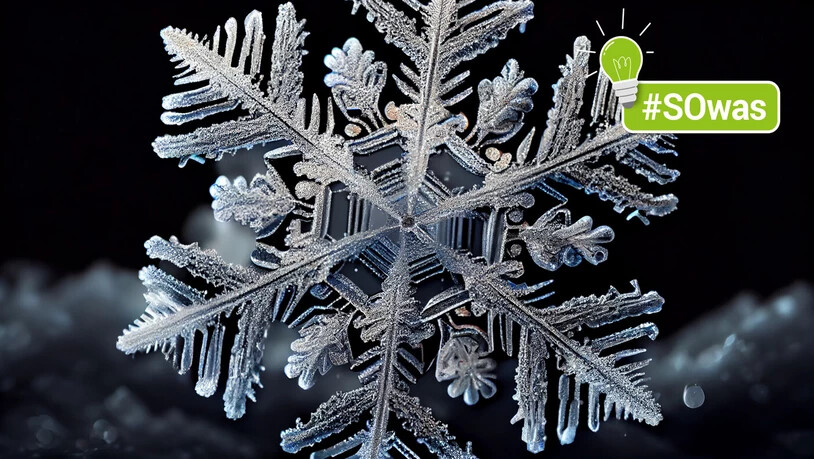 Einzigartig: Noch nie (!) sind zwei identische Schneekristalle vom Himmel gefallen.