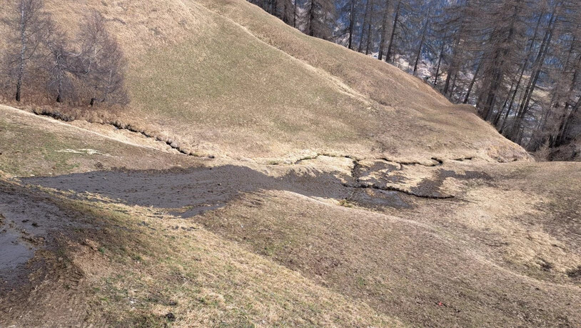 Den Ual da Suden verschmutzt: Nach dem Vorfall vom März 2023 zeigt sich auf den betroffenen Wiesen am Schamserberg ein Güllestrom. Den Ual da Suden verschmutzt: Nach dem Vorfall vom März 2023 zeigt sich auf den betroffenen Wiesen am Schamserberg ein Güllestrom.