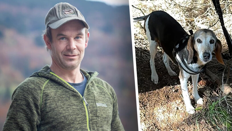 Am Abend hat er um sie geweint: Markus Hösli aus Mollis trauert um seine Jagdhündin Branca. Am Abend hat er um sie geweint: Markus Hösli aus Mollis trauert um seine Jagdhündin Branca.