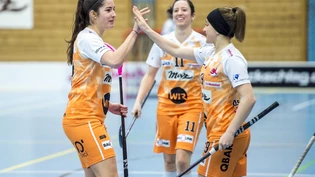 Unihockey Piranha