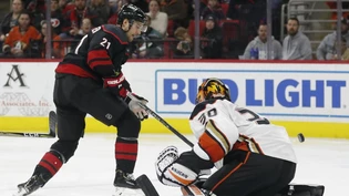 Ducks Hurricanes Hockey