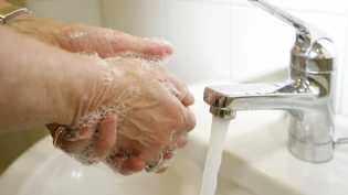 Norovirus