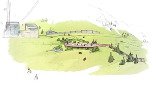 In Arosa könnten bald fünf Bären ein neues zuhause finden - denn die Regierung gibt das «Ja».