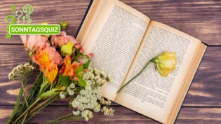 Blumige Sprache: Jede Blume hat eine eigene Bedeutung und bringt ein Gefühl zum Ausdruck.
