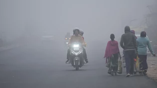 Pendler fahren an einem kalten Morgen durch dichten Nebel. Foto: Channi Anand/AP