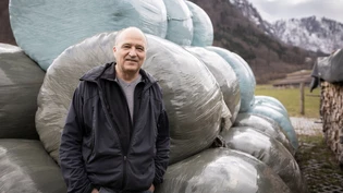 «Wir haben gutgräsige Alpen»: Laut Marco Baltensweiler sind die Glarner Berge besser für die Schafhaltung geeignet als etwa jene von Graubünden. 