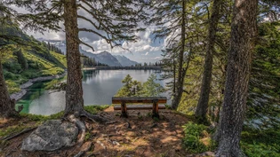 Auszeit: Diese Bank am Garichtisee lädt zum Verweilen ein – einfach den Moment und die Aussicht geniessen.