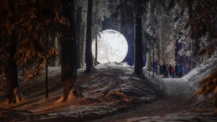 Verzaubernd: Das Herzstück des Zauberwalds bilden diverse Lichtinstallationen, die im Wald zu Entdecken sind – hier im Bild das Kunstwerk «Mondsucht» aus dem Jahr 2021.