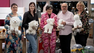 Motiviert: Auch in Näfels bedient das Team des Nähcenters Felber mit Gabriela Nydegger, Corinne Schnyder, Monica und Werner Felber und Christine Wunderle (von links) mit viel Engagement.