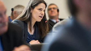 Vera Stiffler will Transparenz. Grosser Rat Grossrat Vera Stiffler