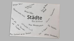 Weniger Natur, verschwundene Altstädte: Die Stichworte der Schülerinnen und Schülern verheissen nicht nur Gutes. Weniger Natur, verschwundene Altstädte: Die Stichworte der Schülerinnen und Schülern verheissen nicht nur Gutes.