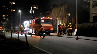 Ein Küchenbrand in Gossau endet mit einer toten Katze. Ein Küchenbrand in Gossau endet mit einer toten Katze.
