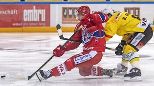 Wieder einmal Punkte für die Berner: Der SC Bern zwingt die Rapperswil-Jona Lakers in die Knie – hier stört Beat Gerber Jeremy Wick erfolgreich. 