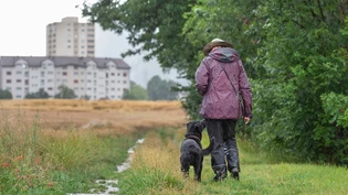 Das Wetter verbessert sich: Am Vormittag des 1. August ist der Schlechtwetter-Tiefpunkt erreicht.