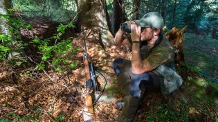 Ausschau halten: Ein Bündner Jäger beobachtet auf der Hochjagd Wild.
Ausschau halten: Ein Bündner Jäger beobachtet auf der Hochjagd Wild.