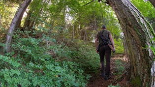 Rückblick: Die Jagdsaison verlief für die Glarner Jägerinnen und Jäger erfolgreich.
