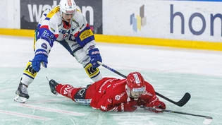 Bauchlandung: Die Lakers (im Bild Gian-Marco Wetter) verlieren diese Saison erstmals gegen Kloten. Bauchlandung: Die Lakers (im Bild Gian-Marco Wetter) verlieren diese Saison erstmals gegen Kloten.