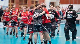 Grosse Erleichterung: Mit dem Sieg gegen Thurgau schafft Alligator Malans doch noch die Play-off-Qualifikation.