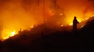 Inferno in Chur: Am 23. April 2014 brach ein Waldbrand oberhalb des Rosenhügels in Chur aus. Die Feuerwehr versuchte das Inferno schnellstmöglich unter Kontrolle zu bringen. Inferno in Chur: Am 23. April 2014 brach ein Waldbrand oberhalb des Rosenhügels in Chur aus. Die Feuerwehr versuchte das Inferno schnellstmöglich unter Kontrolle zu bringen.