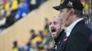 Gegen sein Ex-Team: Christian Wohlwend coacht den HC Ajoie zum 2:1-Sieg in Davos.
