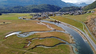 Der Inn bei Celerina: Hier entsteht eine wunderschöne, wiederbelebte Flusslandschaft.