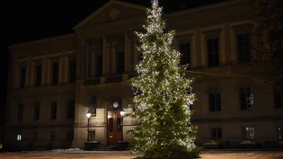 Christbaum vor dem Rathausplatz: 160 Kinderwünsche hingen am Kinderwunschbaum – alle werden erfüllt. 