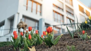 «Der Samen beginnt zu keimen»: In einer am Dienstag verschickten Medienmitteilung orten die Führungsgremien des kritisierten Heims in Trun «Frühling in der Casa S. Martin».