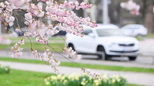 «Von Oktober bis Ostern»: Diese Faustregel für Winterreifen kennt fast jeder Autofahrer.