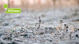 Klirrend kalt: Nach wie vor fürchten sich Bauern oder Gärtner vor Kälteeinbrüchen im Frühjahr. Im Fokus stehen die Eisheiligen. Gibt es in diesem Jahr Kälteeinbrüche? Klirrend kalt: Nach wie vor fürchten sich Bauern oder Gärtner vor Kälteeinbrüchen im Frühjahr. Im Fokus stehen die Eisheiligen. Gibt es in diesem Jahr Kälteeinbrüche?