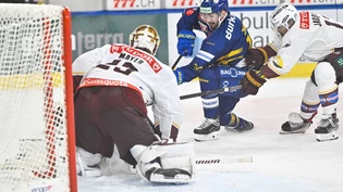 Das Ziel vor Augen: Filip Zadina (Mitte) versucht, sich gegen zwei Genfer durchzusetzen.