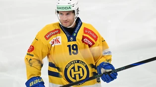 Nachdenklich: Adam Tambellini während der Partie bei den SCL Tigers.