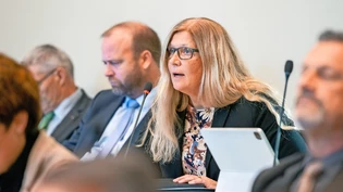 Hat die Gesetzesänderung angestossen: Die Schierser Grossrätin Anna-Margreth Holzinger-Loretz erklärt im Grossen Rat, weshalb ihr Vorstoss wichtig ist.
Hat die Gesetzesänderung angestossen: Die Schierser Grossrätin Anna-Margreth Holzinger-Loretz erklärt im Grossen Rat, weshalb ihr Vorstoss wichtig ist.