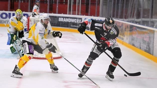 Zurück auf dem Eis: Mischa Bleiker (rechts) behauptet gegen einen Spieler des HC Thurgau die Scheibe. Zurück auf dem Eis: Mischa Bleiker (rechts) behauptet gegen einen Spieler des HC Thurgau die Scheibe.