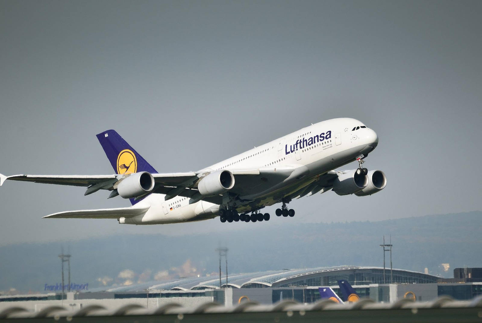 Gründungsmitglied: Die Lufthansa war seit der ersten Stunde Teil der Star Alliance