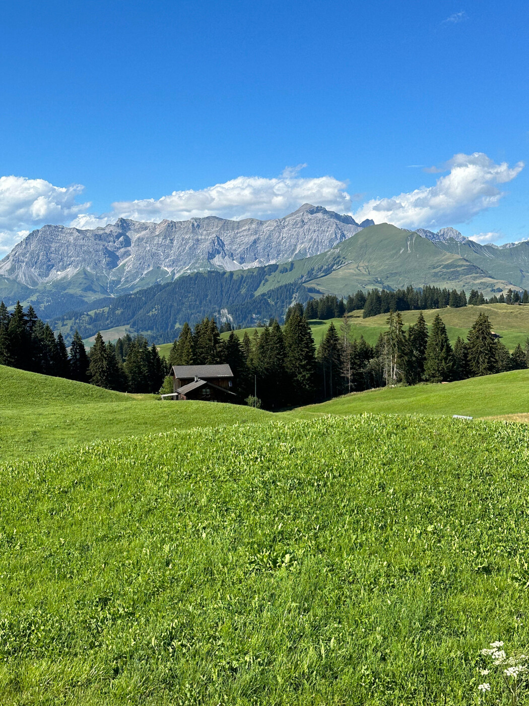 Der höchste Berg in der Rätikonkette: Das ist die Schesaplana.