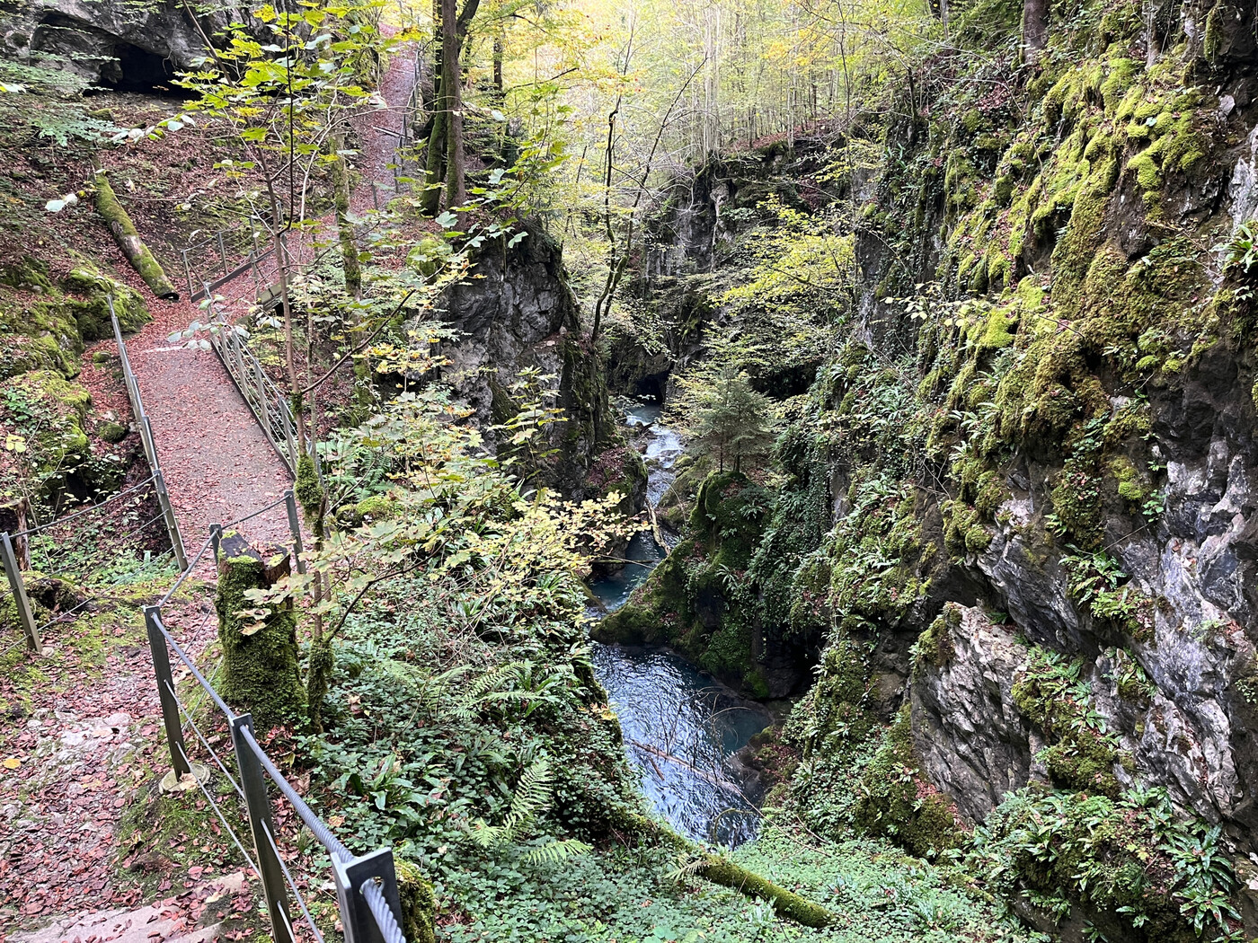 Heute führt ein mit Metallseilen gesichertes Brücklein im Cholgrüebli über das Löntschtobel. 